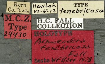 Media type: image;   Entomology 24430 Aspect: labels